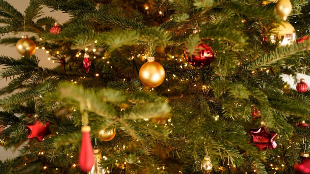 Christmas Tree
